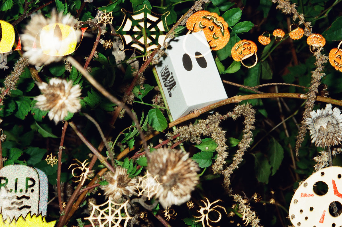 Grain Ghoul 35mm Color Film