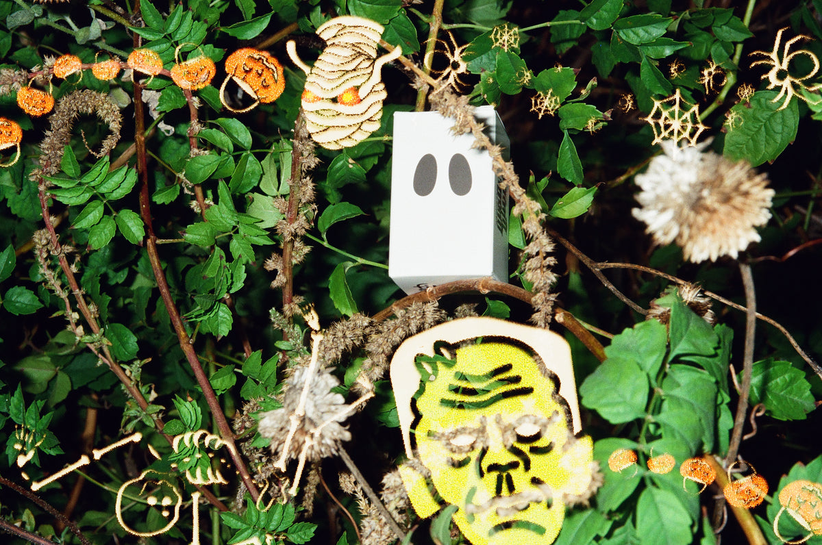 Grain Ghoul 35mm Color Film