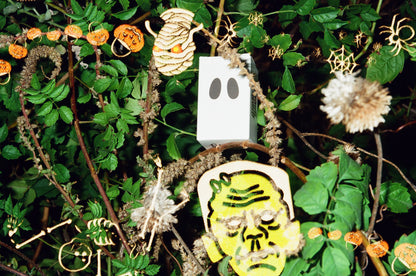 Grain Ghoul 35mm Color Film